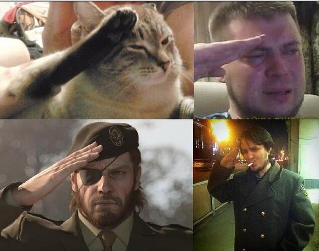 salute meme