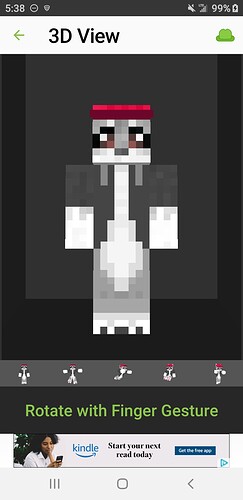 Screenshot_20191120-173812_Skinseed