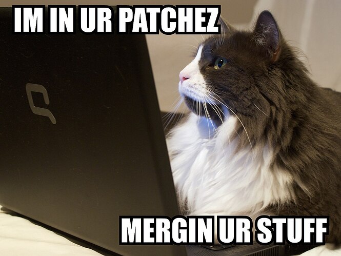File:Im in ur patchez lolcat.jpg - Wikimedia Commons
