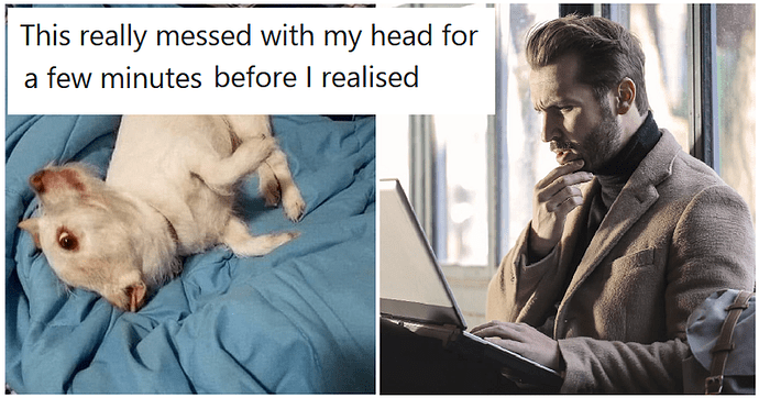dog-2