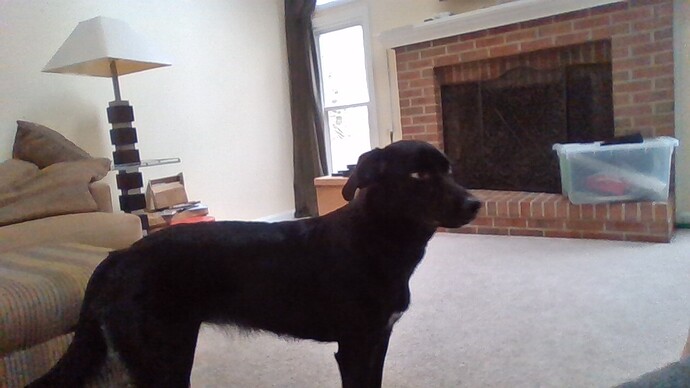 WIN_20200321_13_50_21_Pro