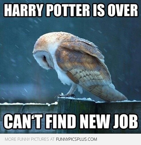 Harry Potter | Funny Pictures