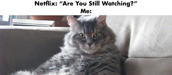 Cat Netflix Chill meme 2