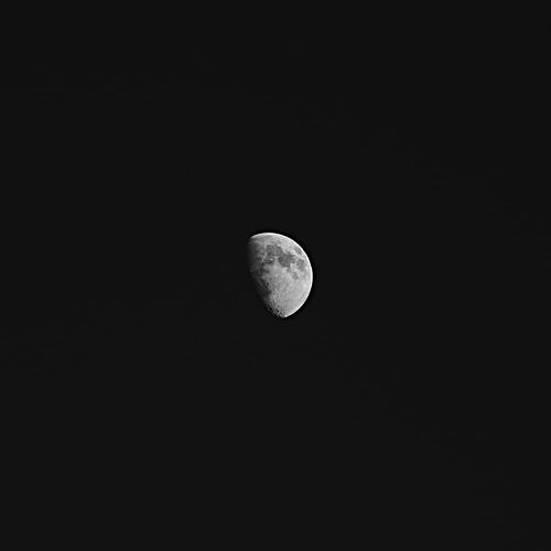 Image result for black and white pfp