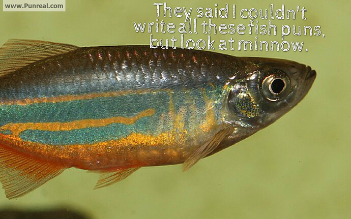 Minnow-Pun