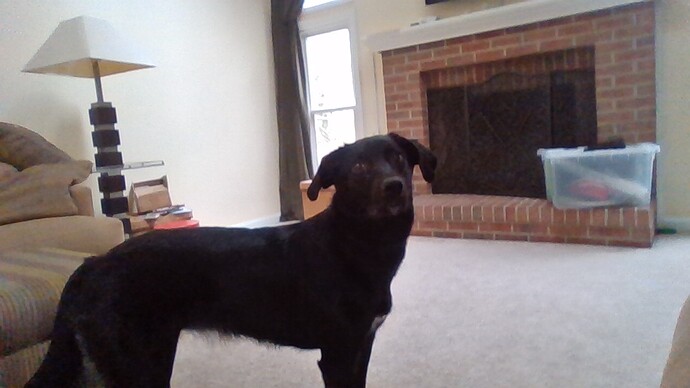 WIN_20200321_13_50_29_Pro