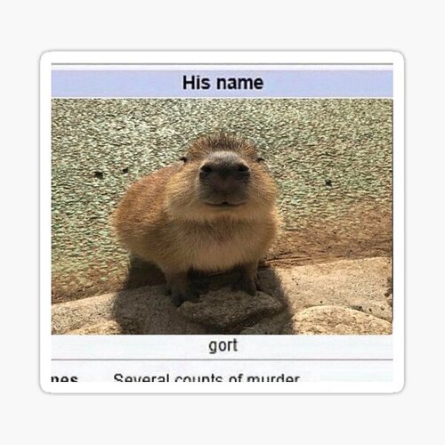 gortt