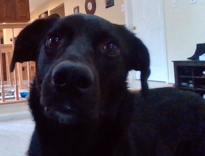 WIN_20200321_13_50_51_Pro