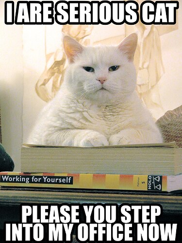 File:CatLolCatExample.jpg - Wikimedia Commons