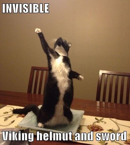 INVISIBLE Viking helmut and sword - Lolcats - lol | cat memes | funny cats  | funny cat pictures with words on them | funny pictures | lol cat memes |  lol cats