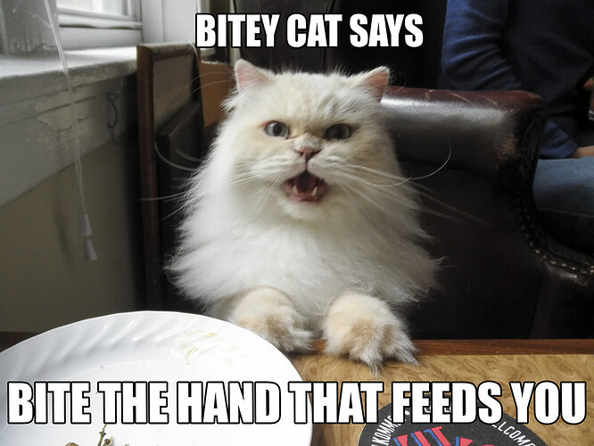 bitey cat | Top 5 List of Things I Learned from Bitey Cat (a… | Flickr