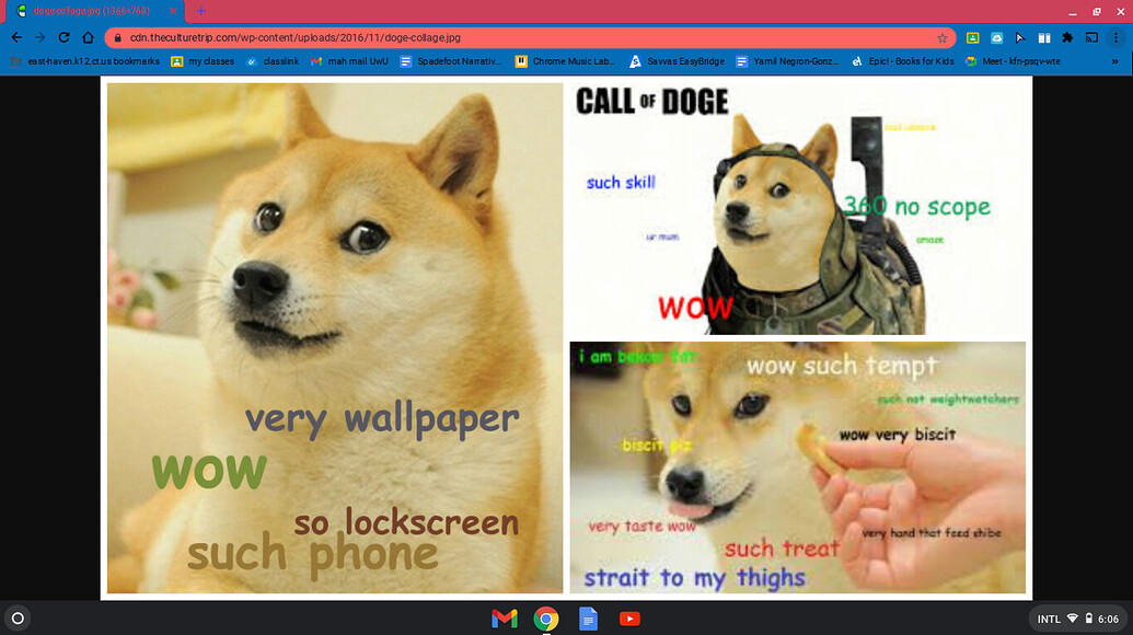 Wow such Doge. Quark Doge. Doge Lab. Quark Doge как создать.