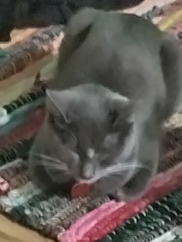 IMG_20240927_162110_HDR