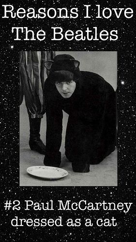 20595ff7471a0167e2a412336d85059c