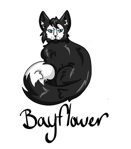 2026_02_24_0hb_Kleki