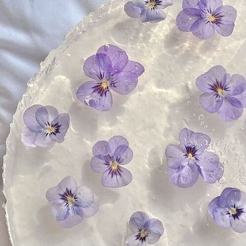 12c70f10bdf08ff1a339e6e50558bcff