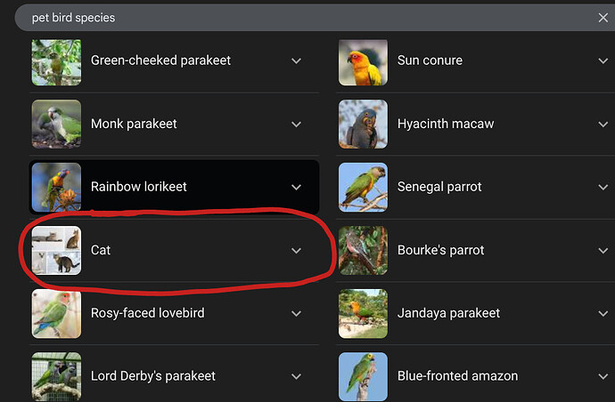 Screenshot 2025-11-18 1.28.37 PM