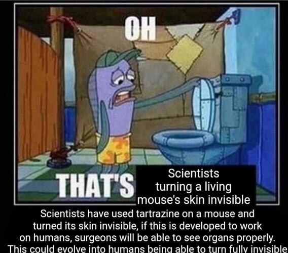 Screenshot_20240907-204852_Chrome