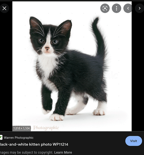 Screenshot 2022-06-24 4.32.40 PM