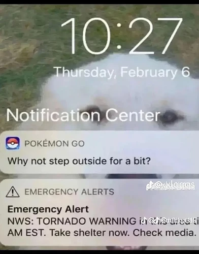 7779468d3b4e49ed478a8b4b86500f81