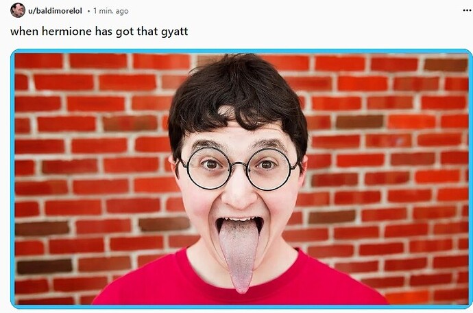 Screenshot_5-9-2024_111721_www.reddit.com