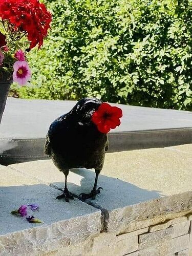 89a0e2aaf758e3d25e165bdb6fc67b99