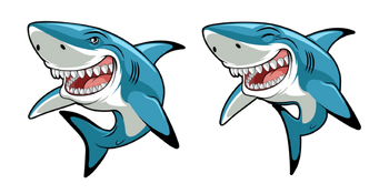 Funny Great White Shark