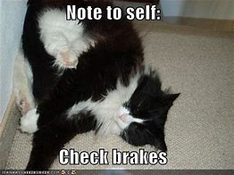 Image result for wasn't so comfortable cat meme
