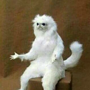 I FORGOT WHAT IM SUPPOSE TO DO