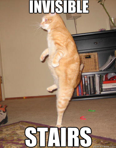 i can totlly riverdance - Stairs Cat - quickmeme