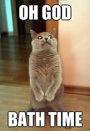 Oh God bath time - Horrorcat - quickmeme