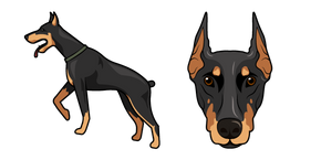Doberman Dog