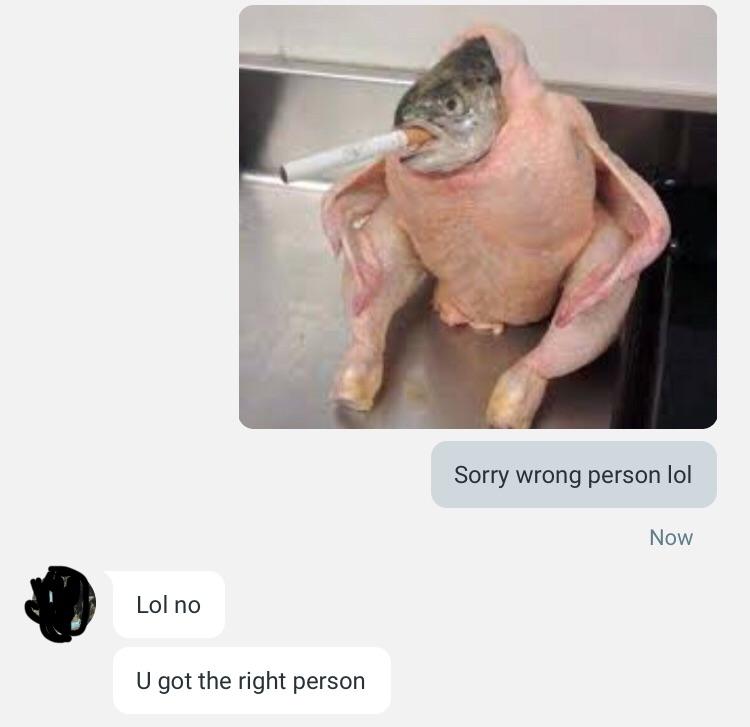 Most Random Roblox Meme Chat General Discussion Custom Cursor Community