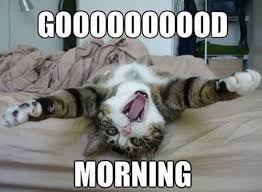 Good Morning Memes - lovequotesmessages
