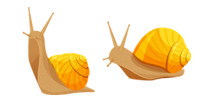 Snail