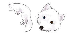 Arctic Fox
