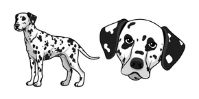 Dalmatian Dog