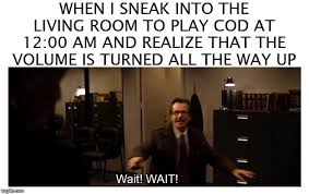 cod Memes & GIFs - Imgflip