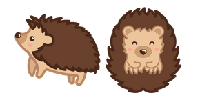 Cute Hedgehog
