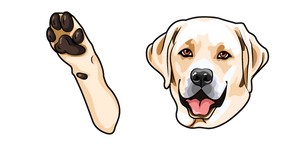 Labrador Retriever Dog