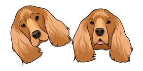 English Cocker Spaniel Dog