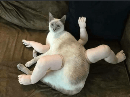 40 Cursed Images That Will Make You Scrub Your Eyes With Delicious Bleach -  FAIL Blog - Funny Fails