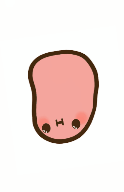 Image result for kawaii potato