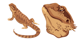 Bearded Dragon