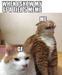 Cat memes, givem to me! - 9GAG