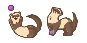 Cute Ferret