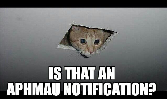 68747470733a2f2f73332e616d617a6f6e6177732e636f6d2f776174747061642d6d656469612d736572766963652f53746f7279496d6167652f4872743659416c736542316a59413d3d2d3438373135323934382e313466313564643735666631363131303736323033343836373830382e6a7067