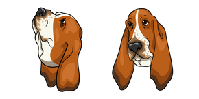 Basset Hound Dog