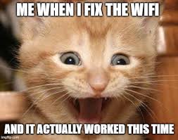Excited Cat Memes - Imgflip