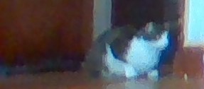 WIN_20201215_11_59_14_Pro (2)